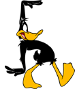Daffy Duck 014