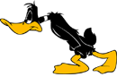 Daffy Duck 015